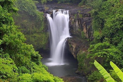 Best of Ubud Tours: Waterfall, Rice Terraces & tjampuhan ridge walk