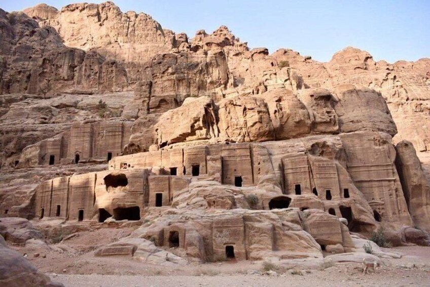Amman Petra Full-Day Trip