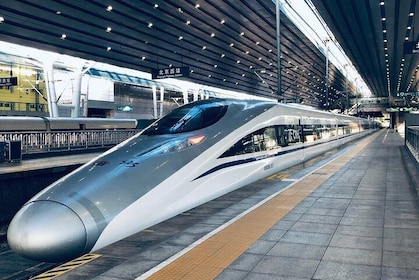 All Inclusive Private Day Tour to Tianjin from Beijing by Bullet Train