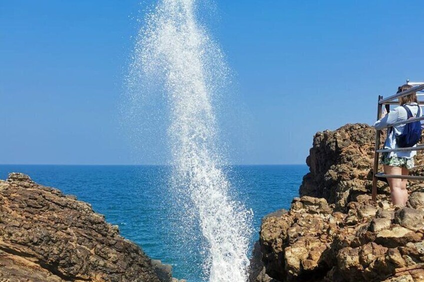 C