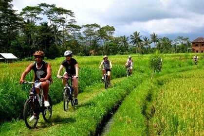 Bali Bike Adventure Tour