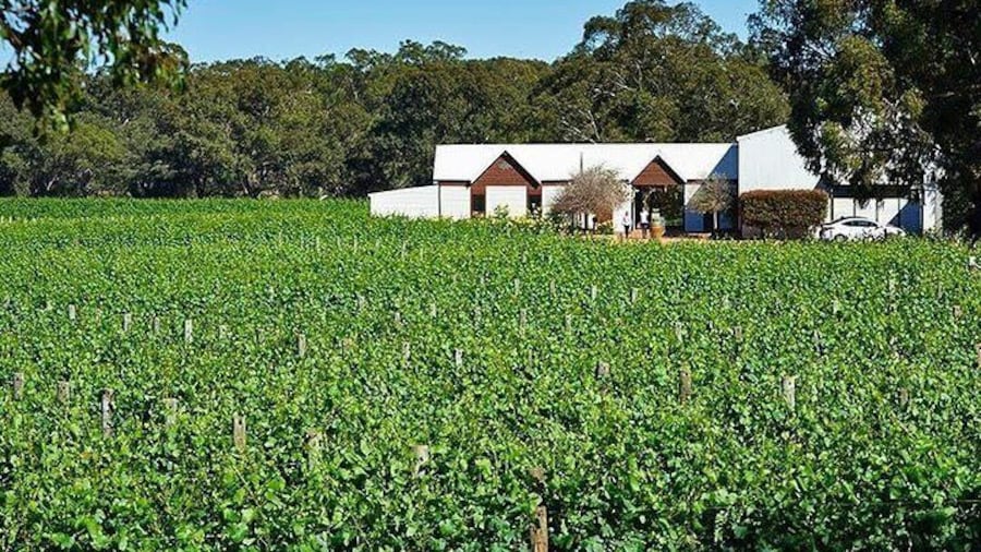 Upper Reach Winery & Vineyard Tours