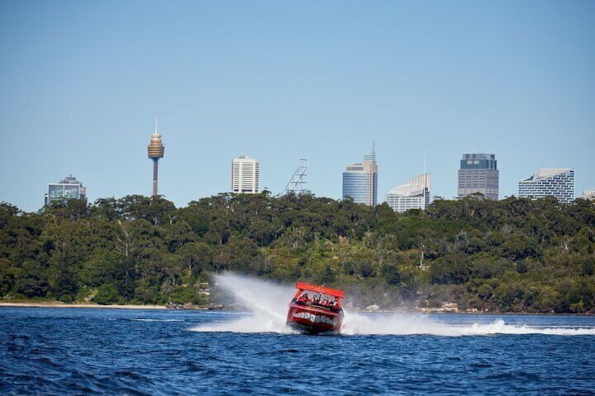 Sydney Harbour Jet Boat Thrill Ride: 30 Minutes