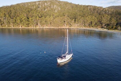 Twilight Sail Bruny Island
