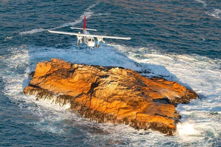 Wineglass Bay And Maria Island Wildlife Scenic Flight From Hobart