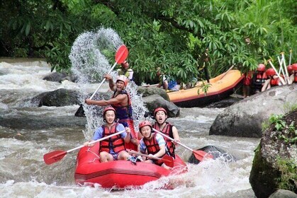 Ubud Water Rafting - Monkey Forest and Rice Terrace