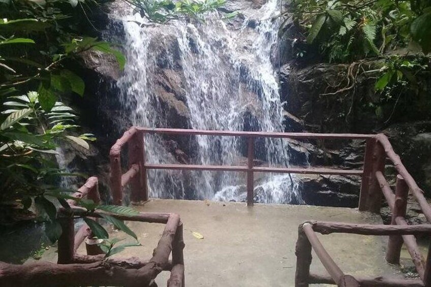 Nature at Waterfall + Butterfly Park & Lake Garden (Private Guided Tour)