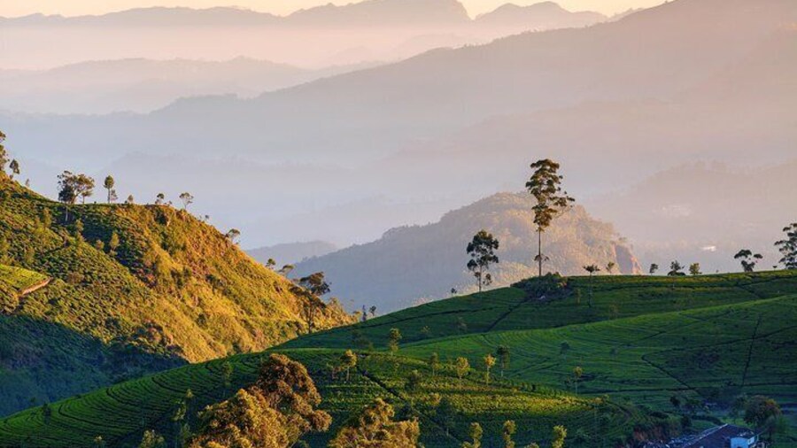 Nuwara Eliya