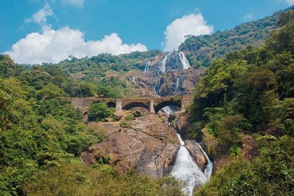 Private Tour: Jungle Adventure from Goa