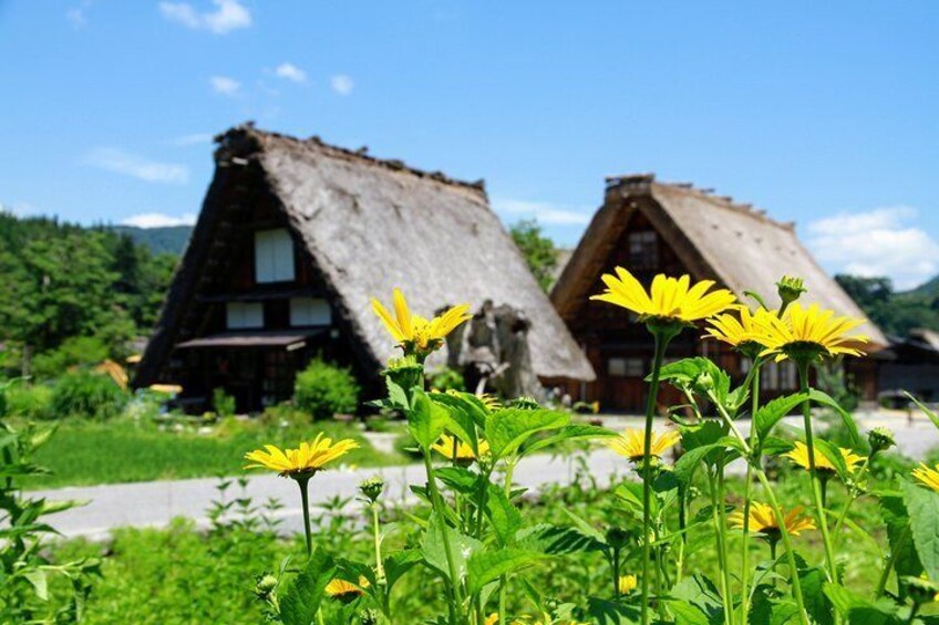 Shirakawago