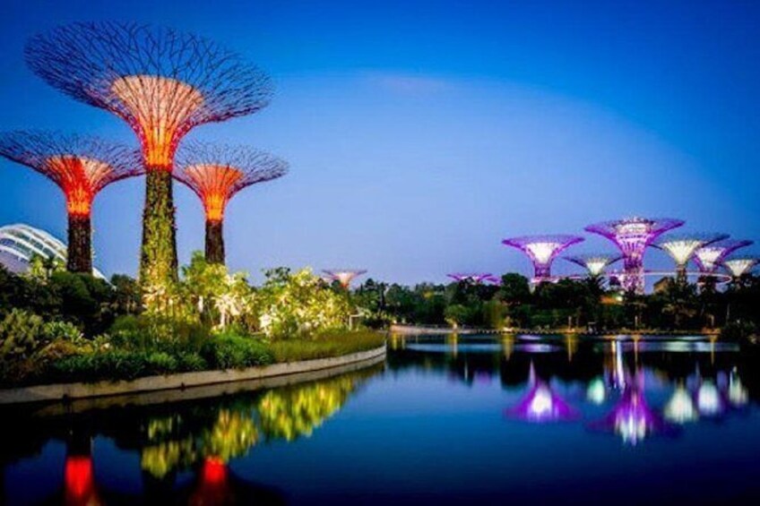 Gardens By The Bay Admission Ticket