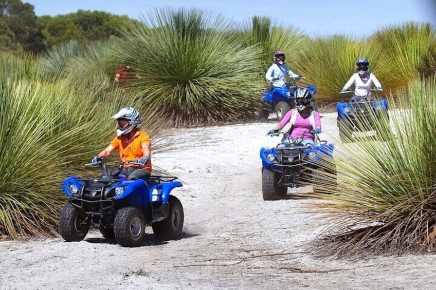 Quad Bike (ATV) Tours