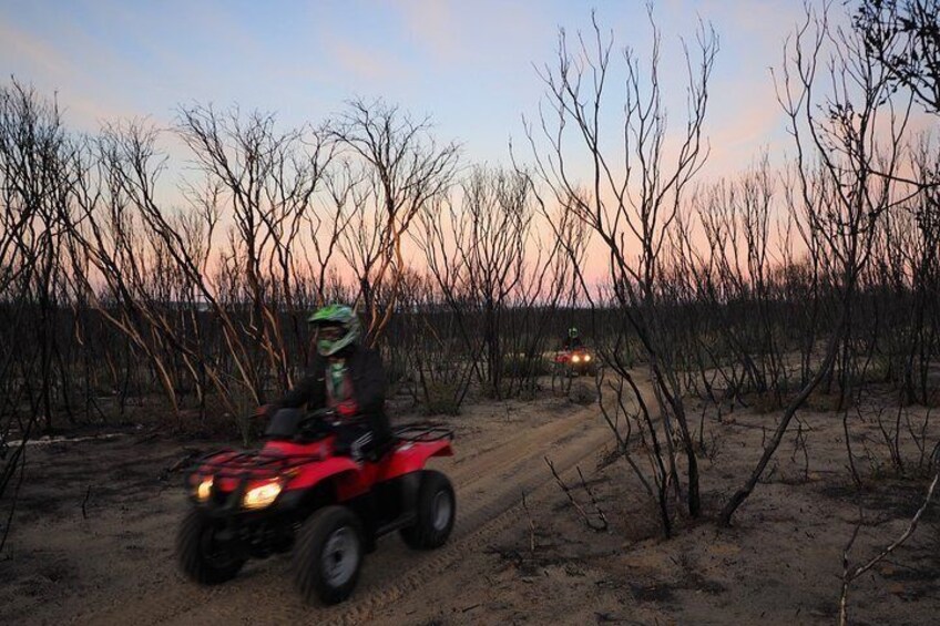 Quad Bike (ATV) Tours