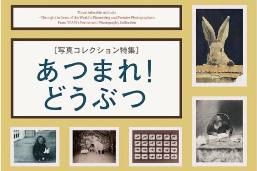 Tokyo Fuji Art Museum Admission Ticket + Special Exhibition (when being held)