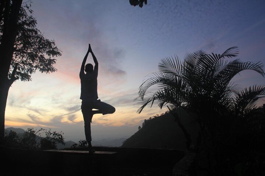 Sri Lankan yoga seeks to improve your Body and Mind with Our yoga trainers.