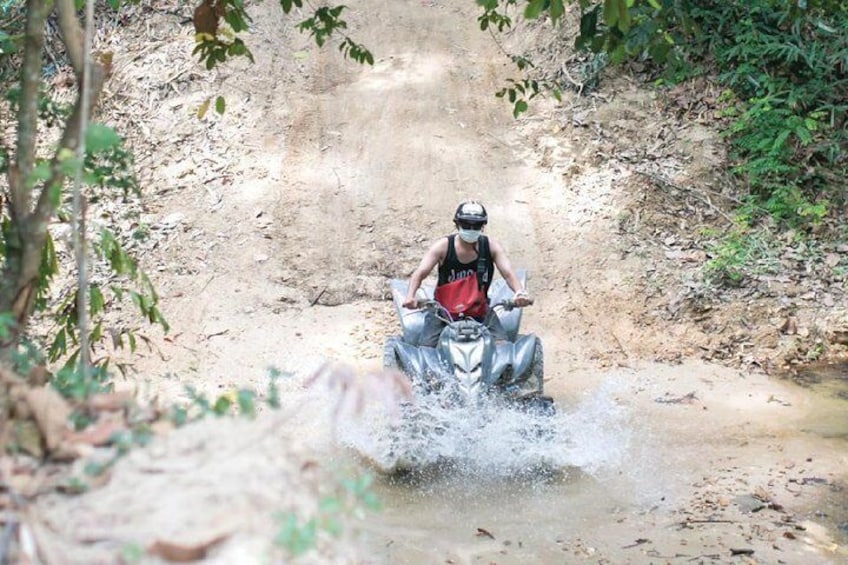 Drive through the jungle yourself!