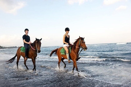 Enjoy Bali Horse Riding on the Beach including Volcano and Ubud Tour