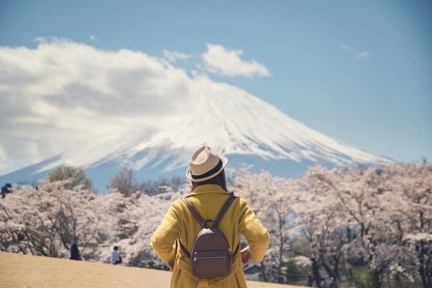 Show item 5 of 10. 1 Day Private Mt Fuji Tour (Charter) - English Speaking Driver