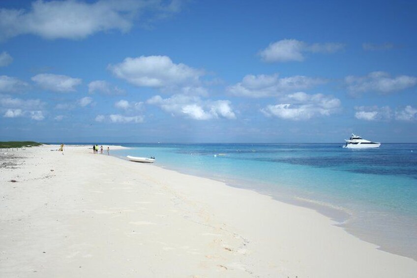 Swimming and snorkelling around Michaelmas Cay