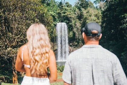 Waterfalls and Rainforest Tour from Cairns