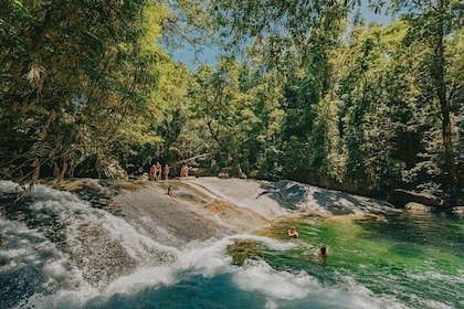 Atherton Tablelands vattenfall och regnskogsdagstur med avgång från Cairns