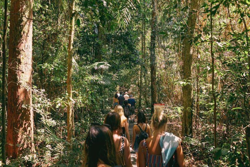 Atherton Tablelands Waterfalls and Rainforest Day Tour Departing Cairns