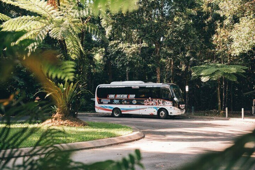 Waterfalls and Rainforest Tour from Cairns