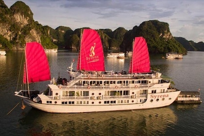 Overnight at Syrena Cruise 4 stars all inclusions from Hanoi