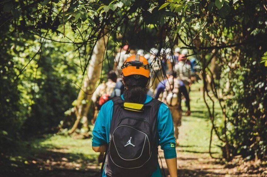 Private Crystal Cave and Blue Hole National Park Day Trip from San Ignacio