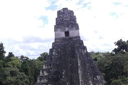 Tikal Maya Ruins Day Tour