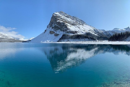 Private Tour of Lake Louise and the Icefield Parkway for up to 12 guests