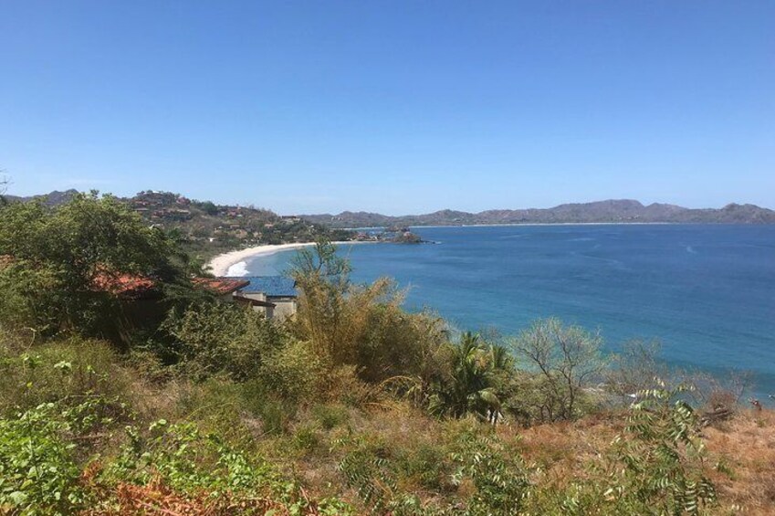 Flamingo beach