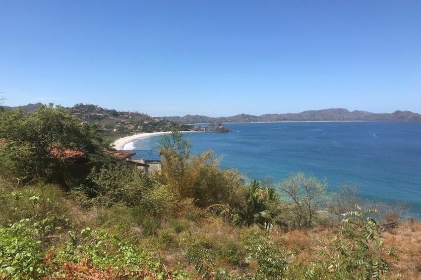 Flamingo beach