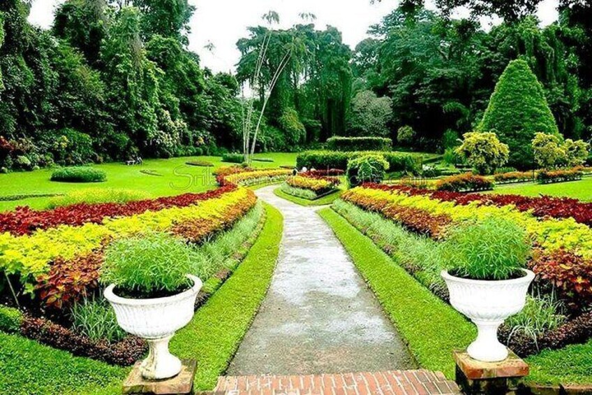 Peradeniya Botanical Garden