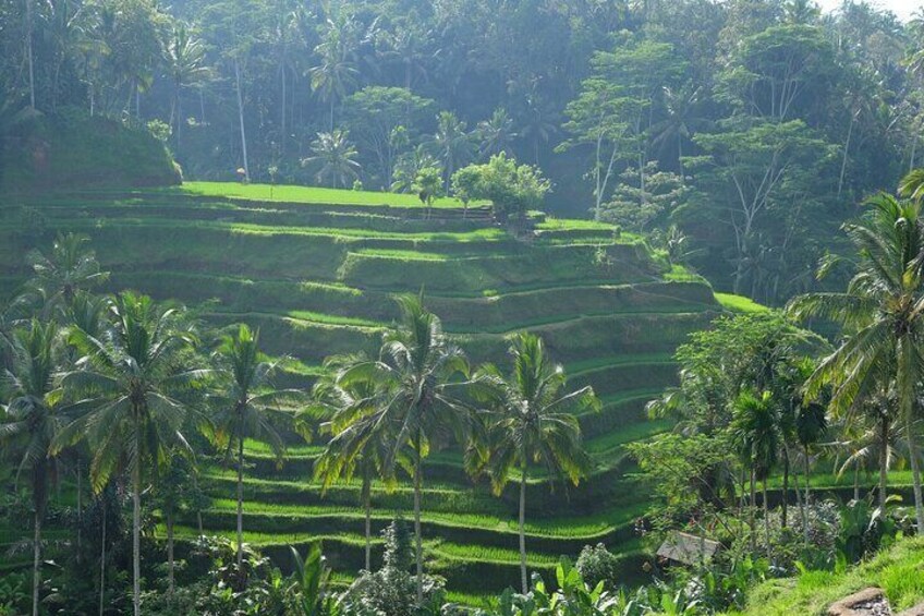 Tegalalang