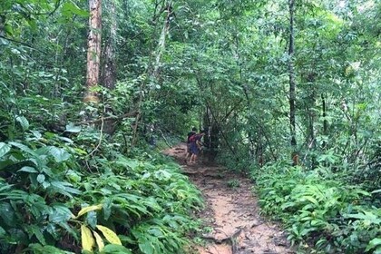 Trekking at the Monk Trail and Doi Suthep Temple Private Tour 