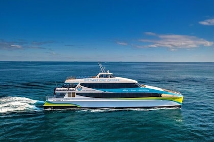 Rottnest Island Roundtrip Fast Ferry from Hillarys Boat Harbour