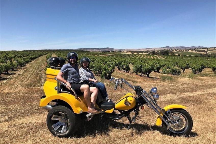Ultimate Barossa Adventure Day Tour For 2 - Combined Mustang Convertible-Trike