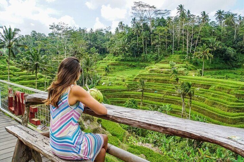 Unesco Rice Terrace