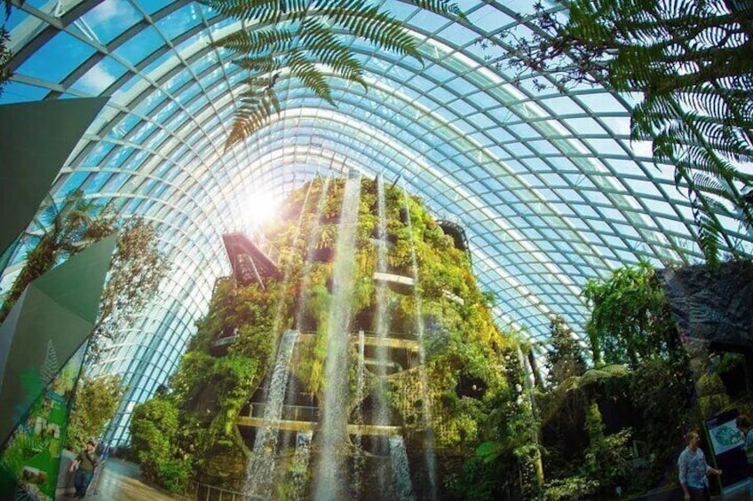 Gardens by the Bay Tickets (Flower Dome+Cloud Forest)