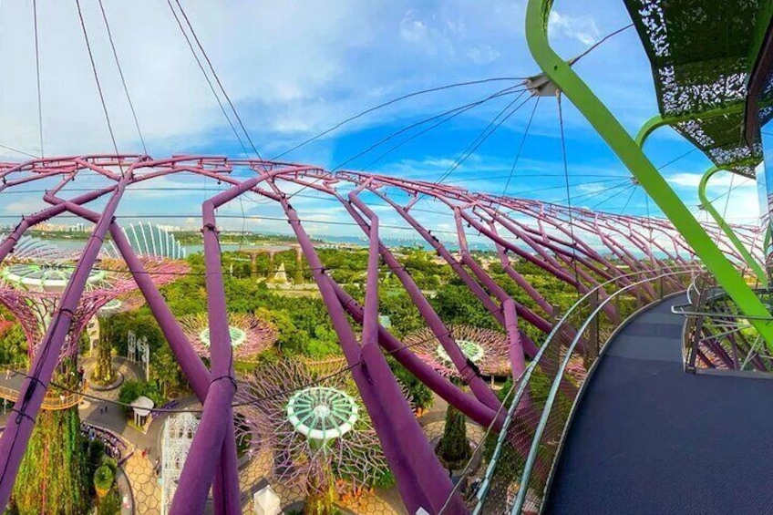 Gardens by the Bay Tickets (Flower Dome+Cloud Forest)