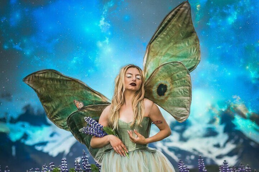 Queen of the butterflies