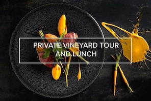 Private Vineyard Tour with a Lunch Experience