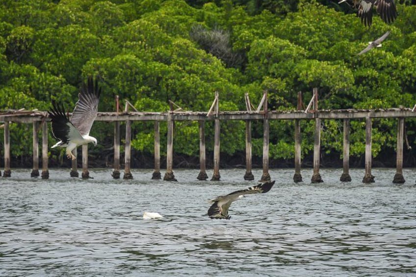 Langkawi Half Day Island Hoping Tour- Sharing basis