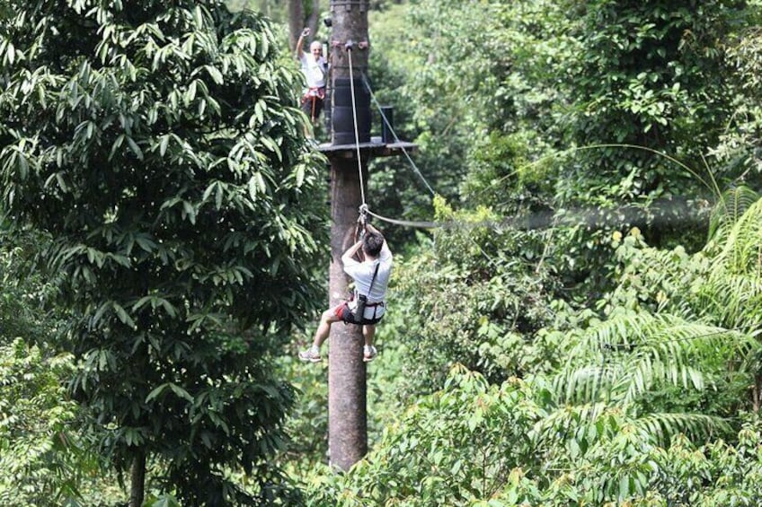 Great outdoor experience where you can fly, swing, glide and dangle on the various aerial obstacles suspended above the lush tropical Malaysian rainforest