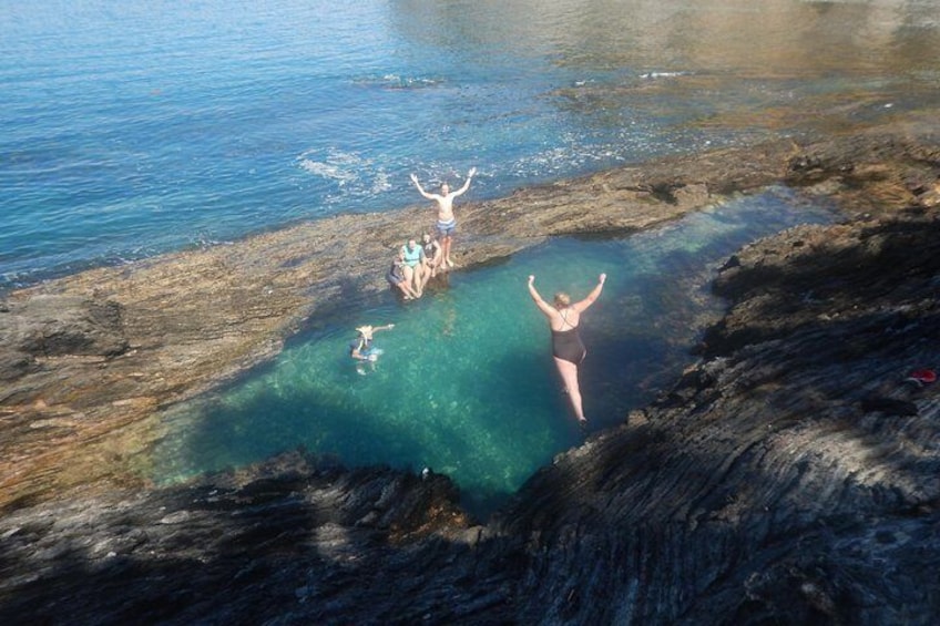 Discover rock pools!