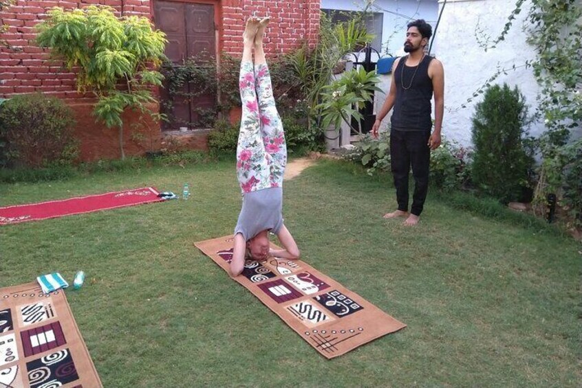 Yoga In Jaipur