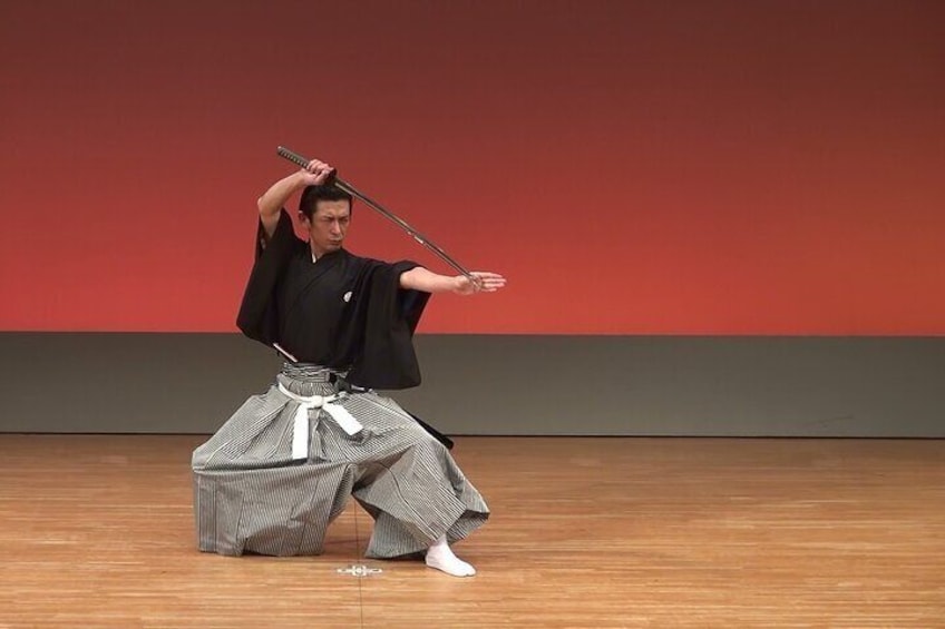 Samurai Performance and Casual Experience: Kyoto Ticket