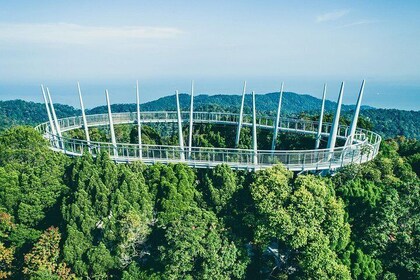 Private Penang Hill Habitat Nature Walk with Lunch