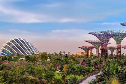 Sands SkyPark + Gardens by the Bay (Flower Dome & SuperTree)